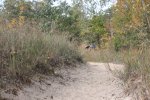 Click to enlarge Rondeau Provincial Park, Ontario, Canada. Day use beach trail.