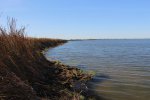 Click to enlarge Rondeau Provincial Park, Ontario, Canada. Marsh Trail