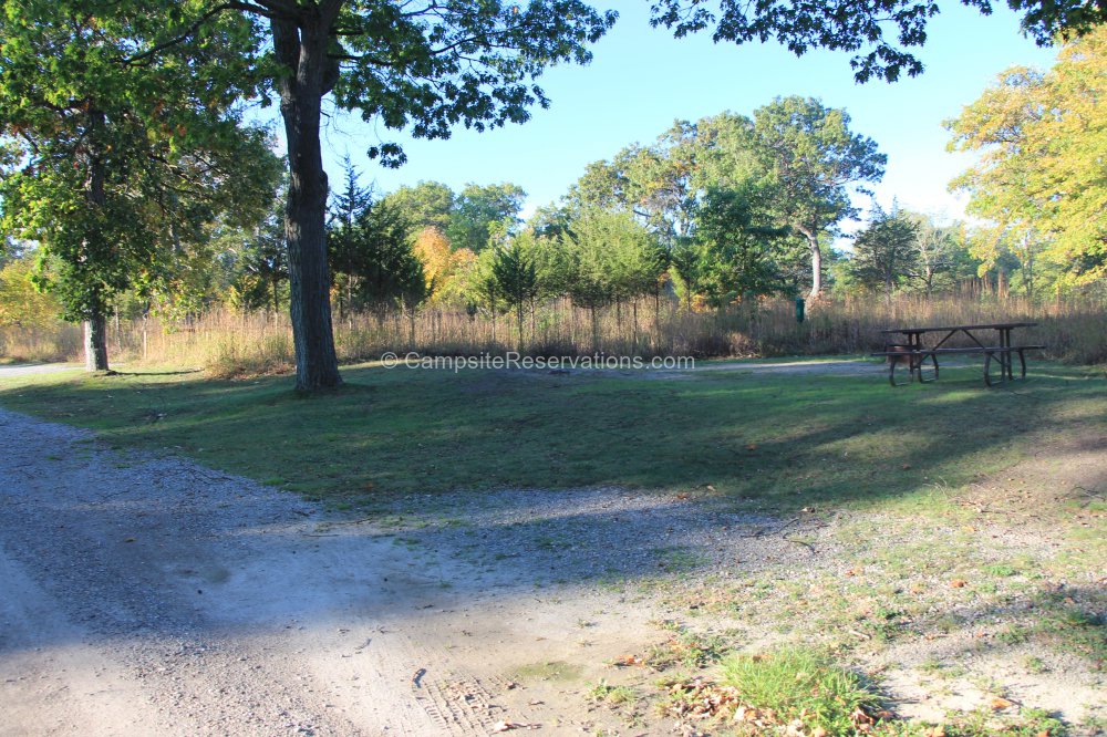 Campsite 155 in South Campground at Rondeau Provincial Park, Ontario