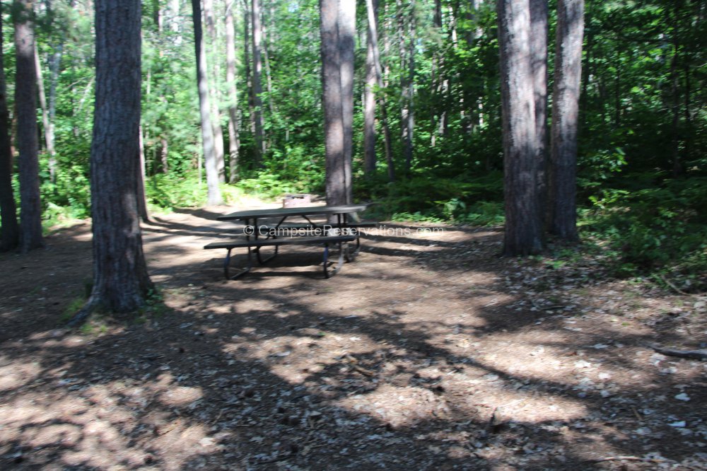 Campsite 195 in Jingwakoki West Campground at Samuel de Champlain