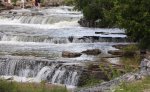 Sauble Falls Provincial Park, Ontario, Canada. Sauble falls