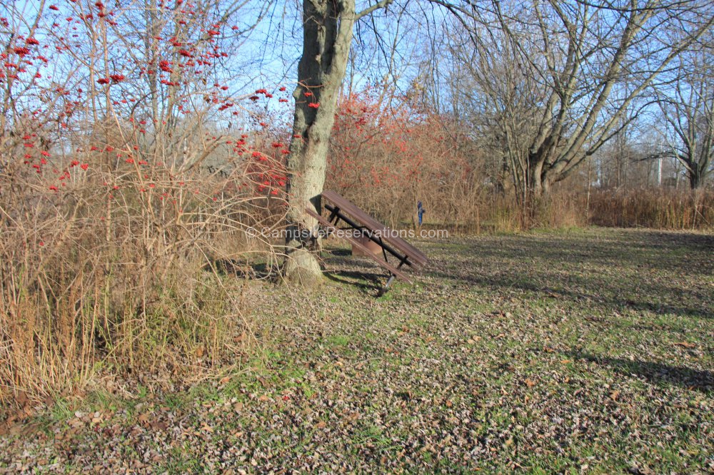 Campsite 46 in 3 Campground at Selkirk Provincial Park, Ontario Canada