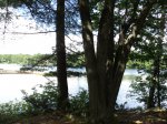 Six Mile Lake Provincial Park, Ontario, Canada. 