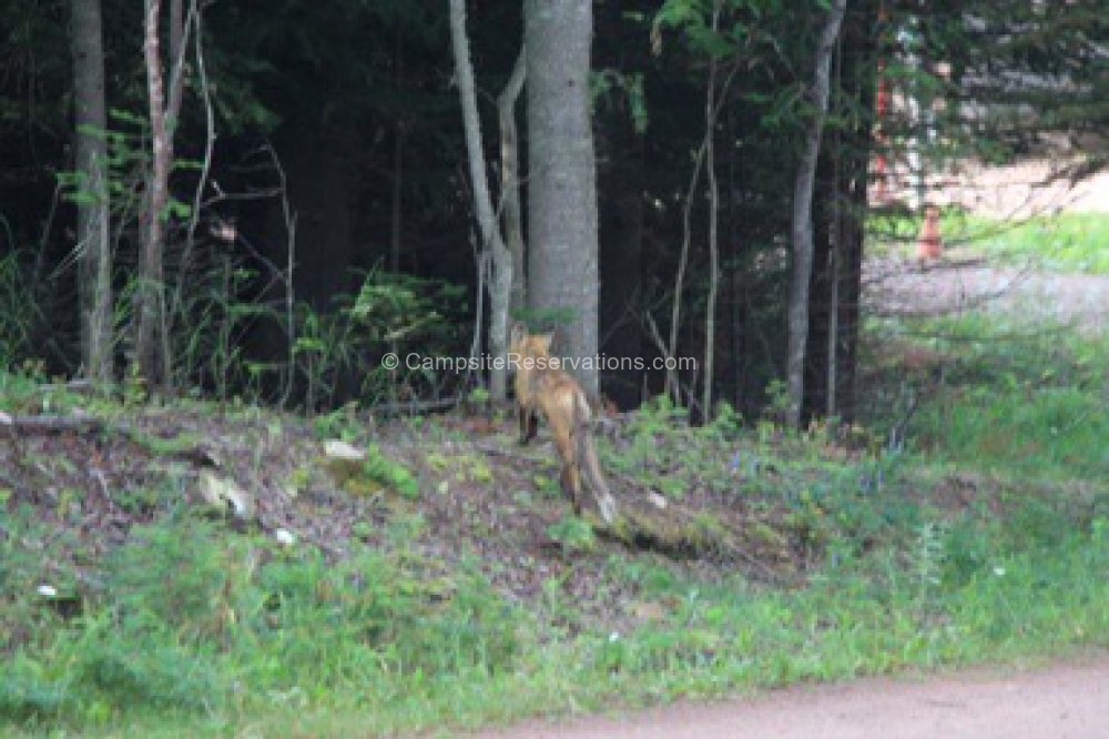 Sleeping Giant Provincial Park, Ontario, Canada