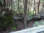 Bruce Peninsula National Park, Ontario, Canada. Rugged trail on Flower Pot Island, part of Fathom Five National Marine Park - adjunct to Bruce Peninsula National Park