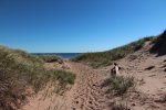 Click to enlarge Panmure Island Provincial Park, Prince Edward Island, Canada.