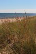 Click to enlarge Panmure Island Provincial Park, Prince Edward Island, Canada.