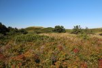 Click to enlarge Prince Edward Island National Park, Prince Edward Island, Canada. Greenwich day use.