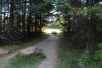 Click to enlarge Prince Edward Island National Park, Prince Edward Island, Canada. Beach parking and trail to beach.