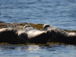 Click to enlarge Forillon National Park, Quebec, Canada.