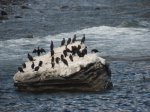 Forillon National Park photo 2