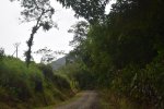 Click to enlarge You can drive in the middle of the nature to arrive at the campsite
