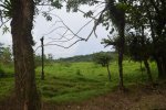 Click to enlarge You can spot diferent areas, like this place for the cows, and horses.