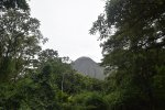 Click to enlarge Parque Ecológico Volcán Arenal, NA, Costa Rica. A beautiful forest
