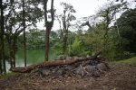 Click to enlarge Parque Ecológico Volcán Arenal, NA, Costa Rica. Campfire on front of the lake