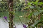 Click to enlarge Parque Ecológico Volcán Arenal, NA, Costa Rica. Canoeing at the lake