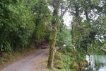 Click to enlarge Place full of nature