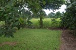 Click to enlarge Verde Lodge Camping Site, N/A, Costa Rica.
