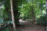 Click to enlarge Verde Lodge Camping Site, N/A, Costa Rica.