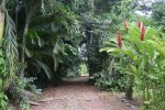 Click to enlarge Verde Lodge Camping Site, NA, Costa Rica.