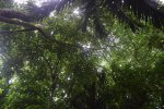 Click to enlarge Verde Lodge Camping Site, NA, Costa Rica.