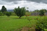 Click to enlarge Verde Lodge Camping Site, NA, Costa Rica.
