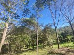 FINCA KIORO, NA, Costa Rica. 