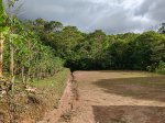 FINCA KIORO, NA, Costa Rica. 