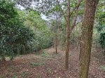 FINCA KIORO, NA, Costa Rica. 