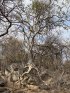 Selati River Ruins Camping, NA, South Africa. 