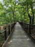 Cheaha State Park, Alabama, United States. 