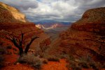 Click to enlarge Grand Canyon National Park, Arizona, United States.