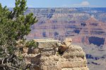 Click to enlarge Grand Canyon National Park, Arizona, United States. The view of the Grand Canyon from Mather Point, just off of the Grand Canyon Visitor Center.