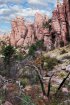 Click to enlarge Chiricahua National Monument, Arizona, United States. Organ Pipe Formation. Chiricahua National Monument, Arizona, United States