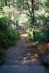 Click to enlarge Coconino National Forest, Arizona, United States. Stairs from Bootlegger heading down to the creek and an awesome swimming hole.