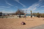 Click to enlarge Lake Havasu State Park, Arizona, United States.