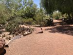 Click to enlarge Lake Havasu State Park, Arizona, United States.