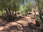 Click to enlarge Lake Havasu State Park, Arizona, United States.