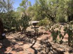 Click to enlarge Lake Havasu State Park, Arizona, United States.