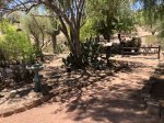 Click to enlarge Lake Havasu State Park, Arizona, United States.
