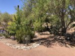 Click to enlarge Lake Havasu State Park, Arizona, United States.