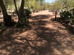 Click to enlarge Lake Havasu State Park, Arizona, United States.