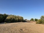 Click to enlarge Lake Havasu State Park, Arizona, United States.