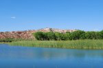 Click to enlarge Dead Horse Ranch State Park, Arizona, United States. Beautiful views at Dead Horse RAnch.