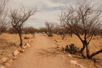 Kartchner Caverns State Park, Arizona, United States. 
