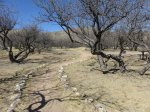 Kartchner Caverns State Park, Arizona, United States. Foothills Loop Trail