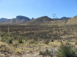 Kartchner Caverns State Park, Arizona, United States. Foothills Loop Trail