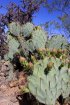 Gilbert Ray, Arizona, United States. 