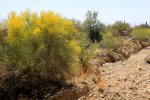 Gilbert Ray, Arizona, United States. 