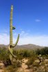 Gilbert Ray, Arizona, United States. 